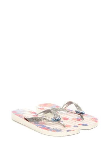 Flip Flops “Caprice“ Havaianas multi