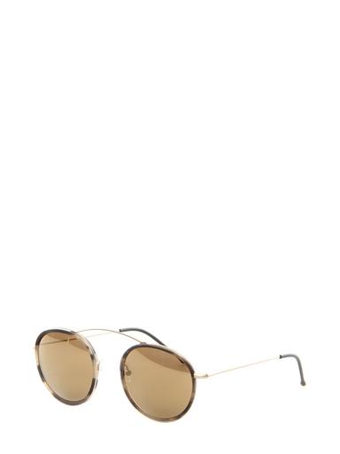 Sunglasses Spektre dark brown